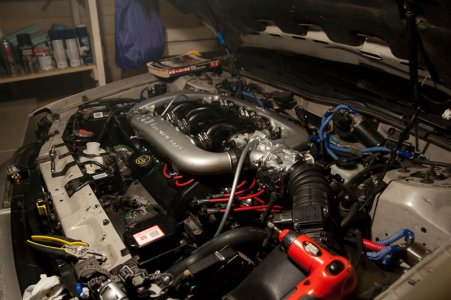  MG 2661