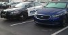 IMG_20170127_070059.jpg