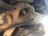 IMG 0944