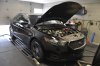 Taurus Dyno SMALL Taurus Dyno SMALL