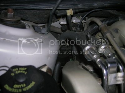 ScannedPhotos019 1