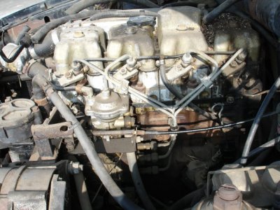 Dsc09996