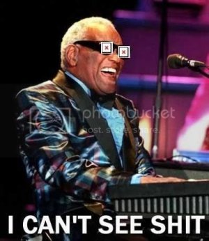 Raycharles 1