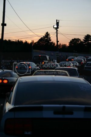 IMG 7019