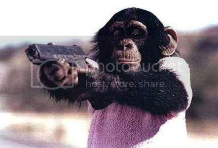 Killer monkey