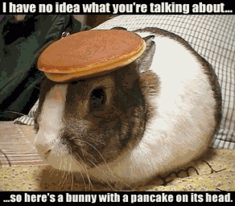Bunny pancake