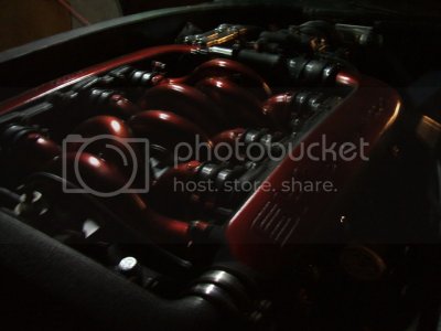 DSCF0774