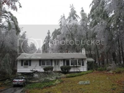 IMG 0285