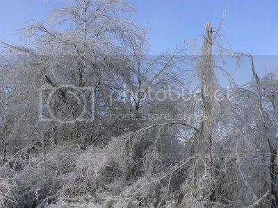 P1060203