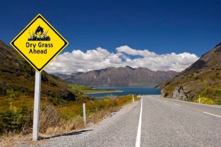Grass roadway