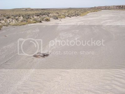 DSC01344