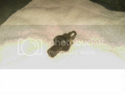 IMAG0040