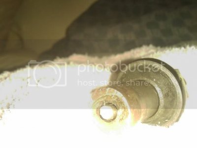 IMAG0041