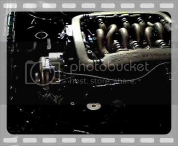 Th MOV00224