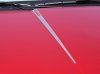 hood decal.jpg