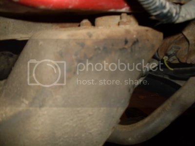 SDC10981