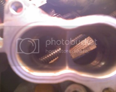 Photo 072409 006
