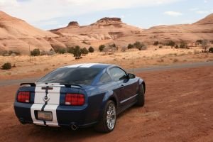Mustang rear Mustang rear