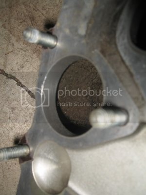 IMG 0005