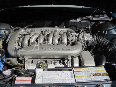 IMG 1354 IMG 1354