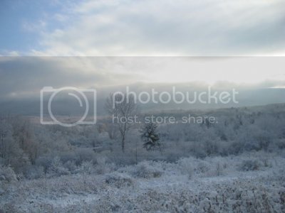 Snow049