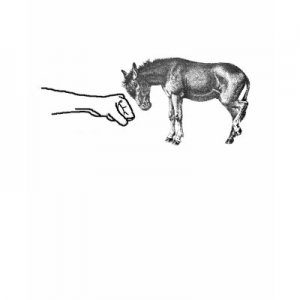 Donkey punch tshirt p235082609822896950o61u 400