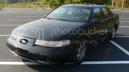 93blackshobuffedandwaxed