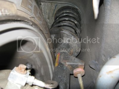 IMG 0520