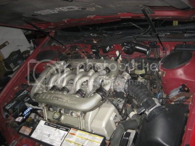 IMG 0403 IMG 0403