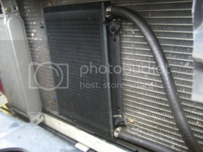 IMG 7028