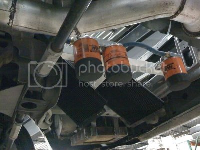 IMG 0655