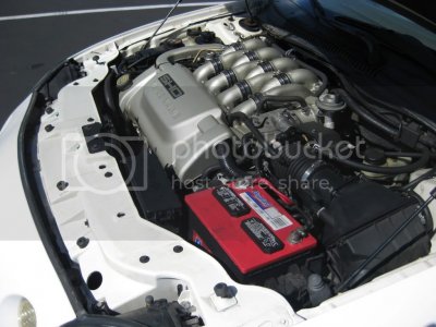 IMG 3588 IMG 3588