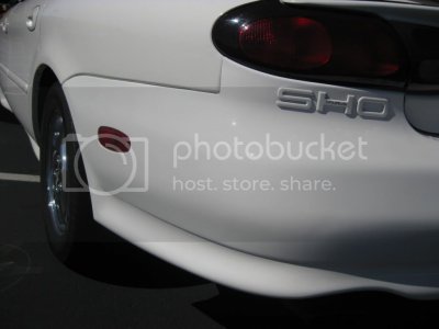 IMG 3600 IMG 3600