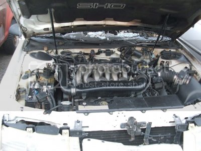 Randompics2010115
