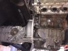 IMG 0639