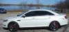 Vertini316nw