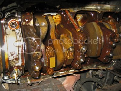 IMG 0271