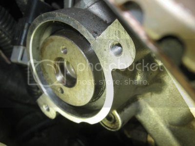 IMG 0290 IMG 0290