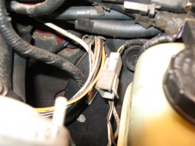 Plug1