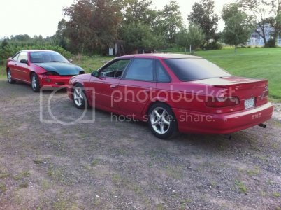 IMG 0246 IMG 0246