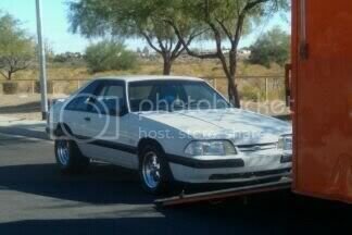 Stang