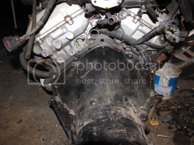 IMG 0244