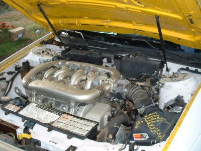 SHOable20engine202 SHOable20engine202