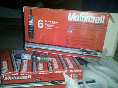 Motorcraftplugs