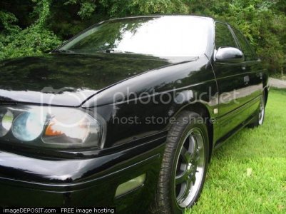 ImageDeposit dot com FREE Hostin 45