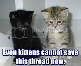 Kittensaves
