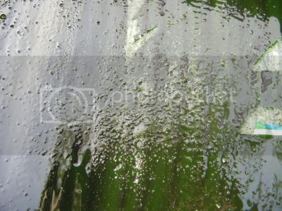 DSCN0283 DSCN0283