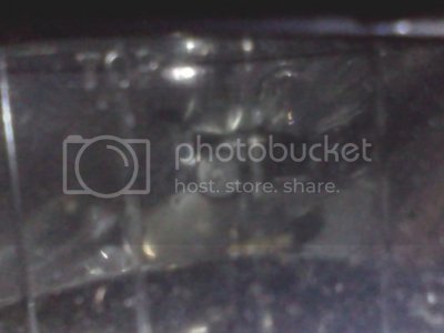 Foglight1