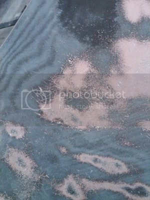 IMG00091 20110430 2217