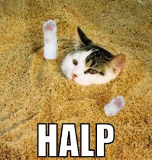 Cat halp 1 1
